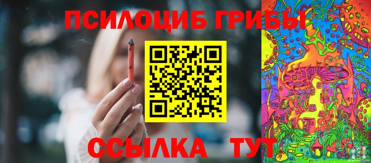 Новочебоксарск  Галлюциногенные грибы Cubensis  Вход с VPN 